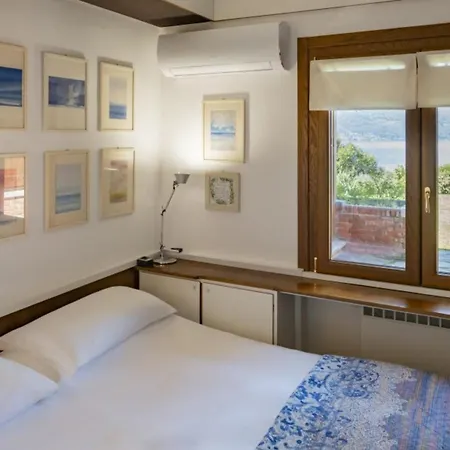 Rossa - Capitol Lifestyle *