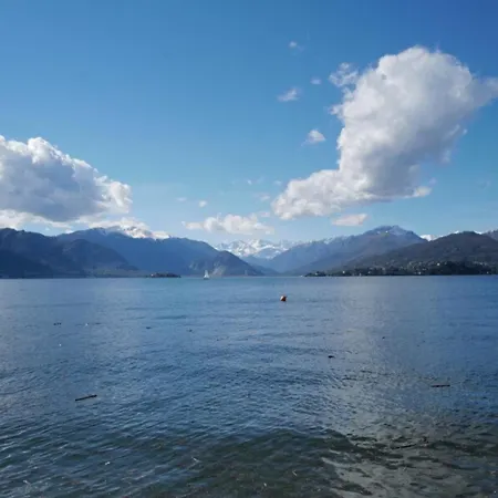 Rossa - Capitol Lifestyle *