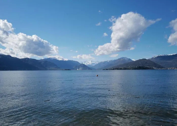 Rossa - Capitol Lifestyle *